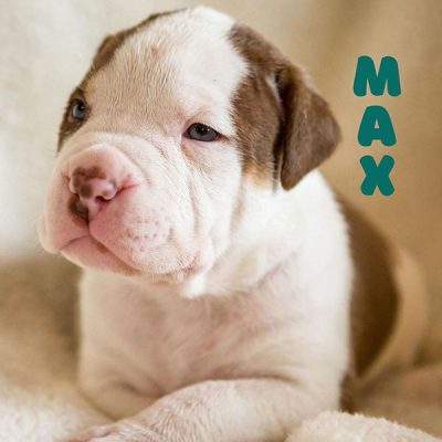 Max